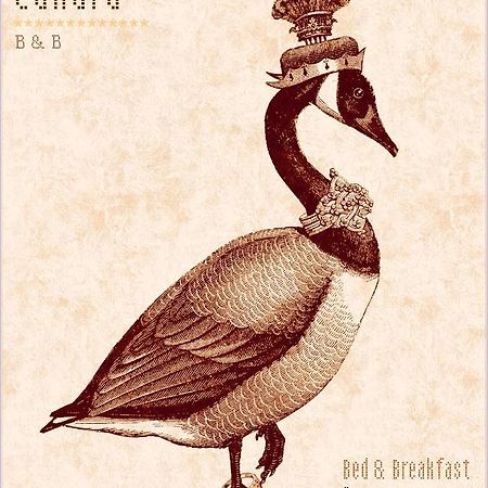 Madame Canard Baveno Eksteriør billede